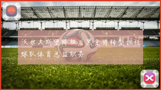 沃尔夫斯堡降级后黑金将转型担任球队体育总监职务